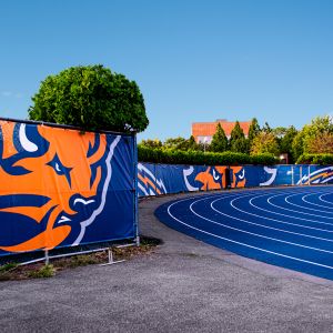 Bucknell Windscreen Vinyl